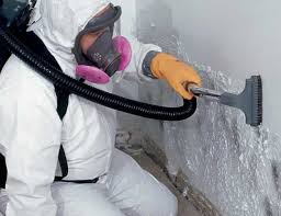 Best Real Estate Mold Inspection in Mont Clare, PA